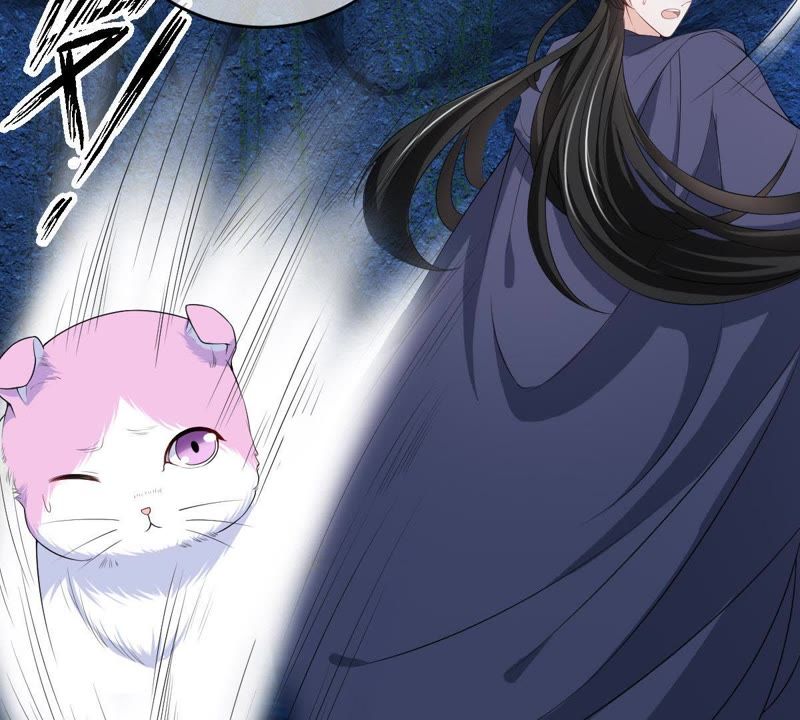 世无良猫韩漫全集-第70话 新的盟友无删减无遮挡章节图片 