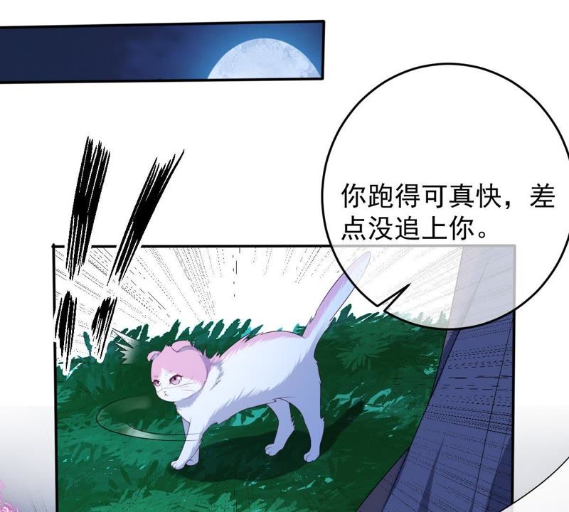 世无良猫韩漫全集-第70话 新的盟友无删减无遮挡章节图片 