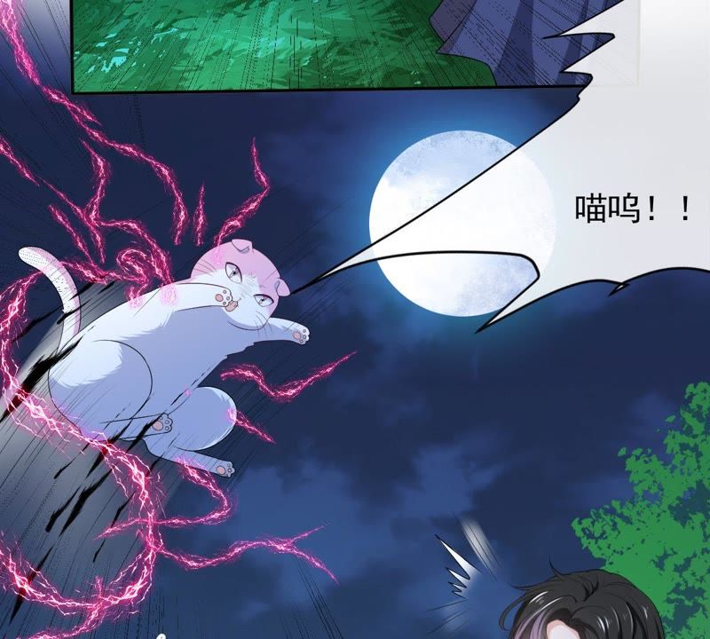 世无良猫韩漫全集-第70话 新的盟友无删减无遮挡章节图片 