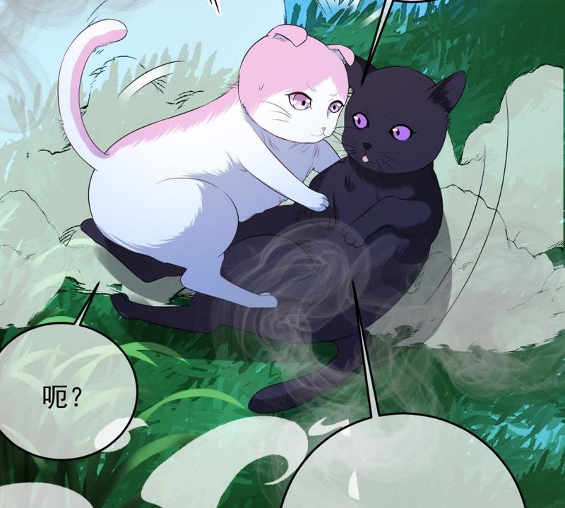 世无良猫韩漫全集-第70话 新的盟友无删减无遮挡章节图片 
