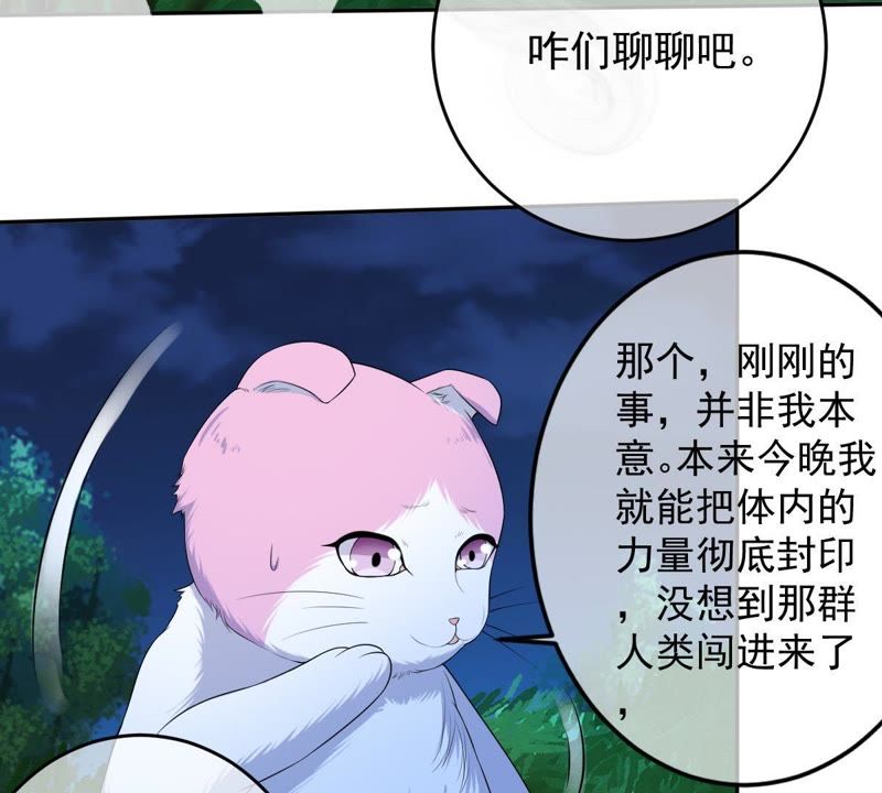 世无良猫韩漫全集-第70话 新的盟友无删减无遮挡章节图片 