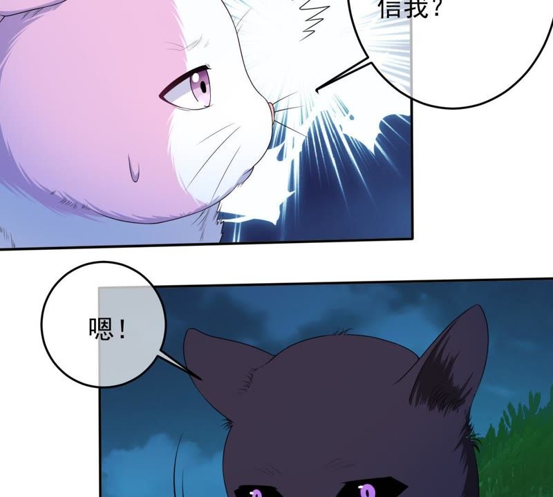 世无良猫韩漫全集-第70话 新的盟友无删减无遮挡章节图片 