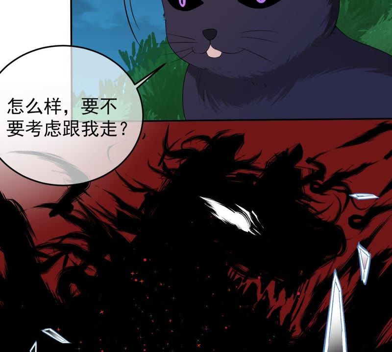 世无良猫韩漫全集-第70话 新的盟友无删减无遮挡章节图片 