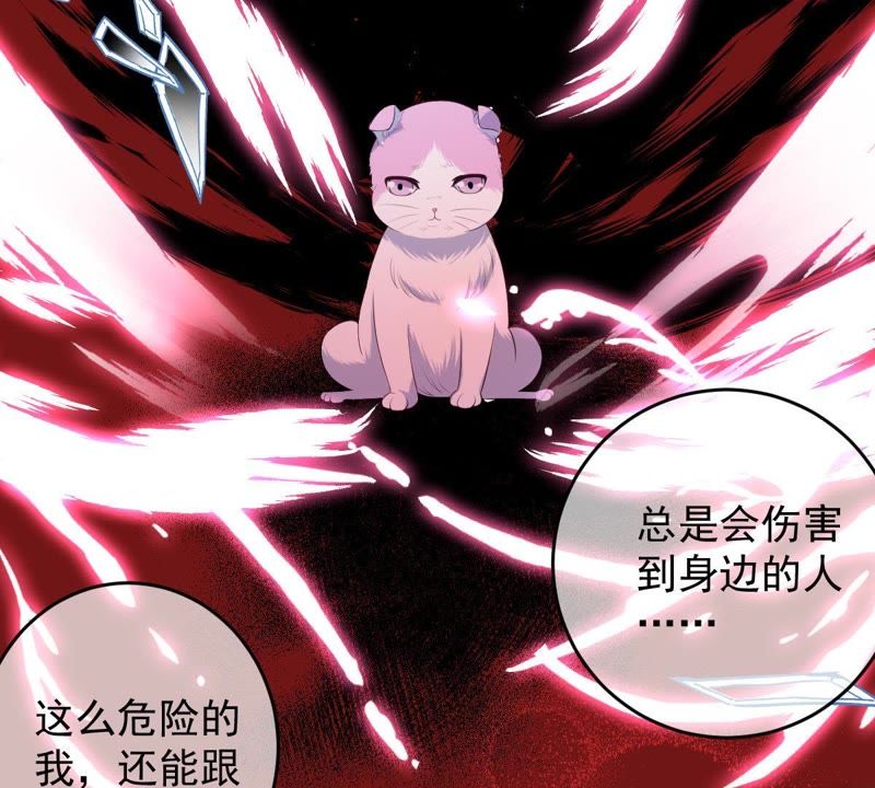 世无良猫韩漫全集-第70话 新的盟友无删减无遮挡章节图片 