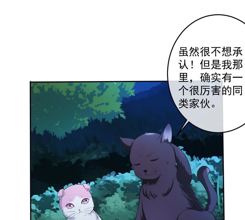 世无良猫韩漫全集-第70话 新的盟友无删减无遮挡章节图片 