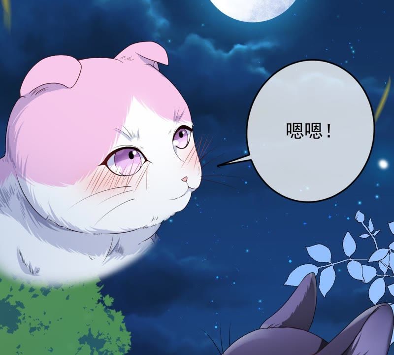 世无良猫韩漫全集-第70话 新的盟友无删减无遮挡章节图片 