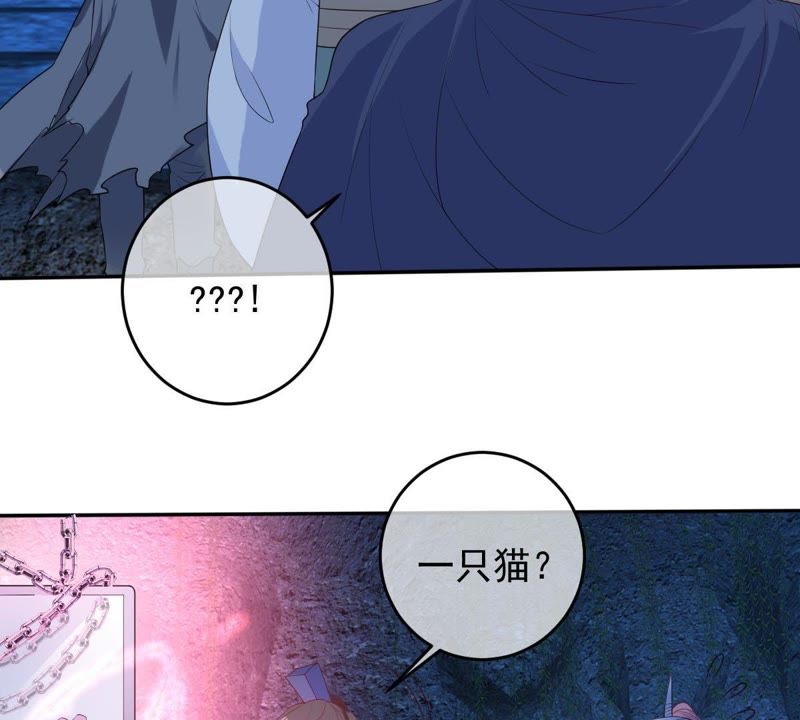 世无良猫韩漫全集-第70话 新的盟友无删减无遮挡章节图片 