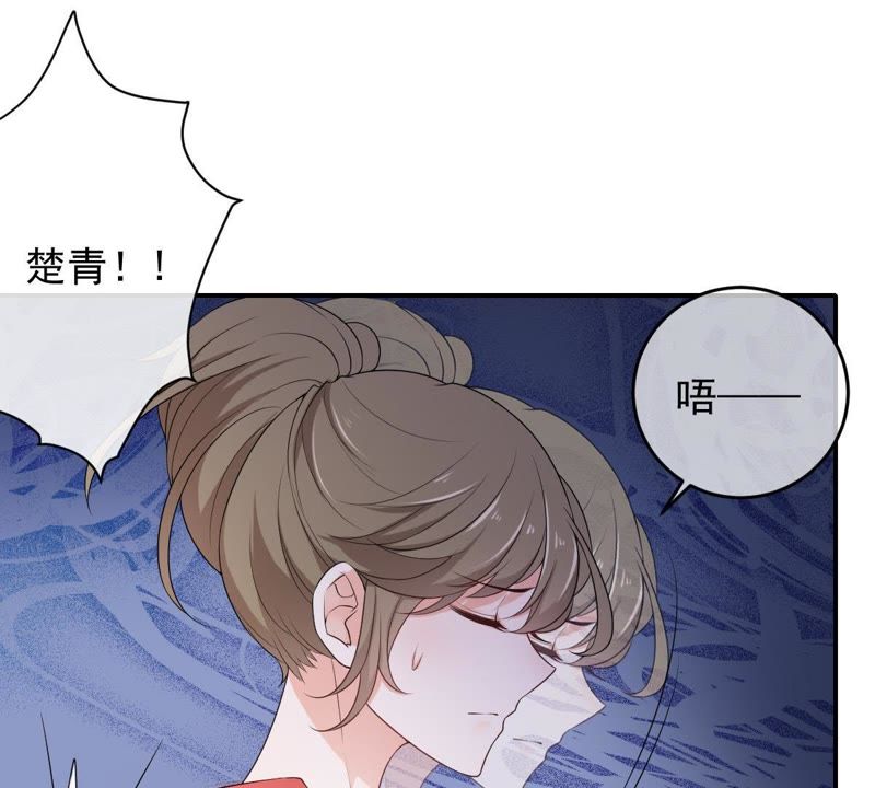 世无良猫韩漫全集-第72话 楚青不是楚青无删减无遮挡章节图片 
