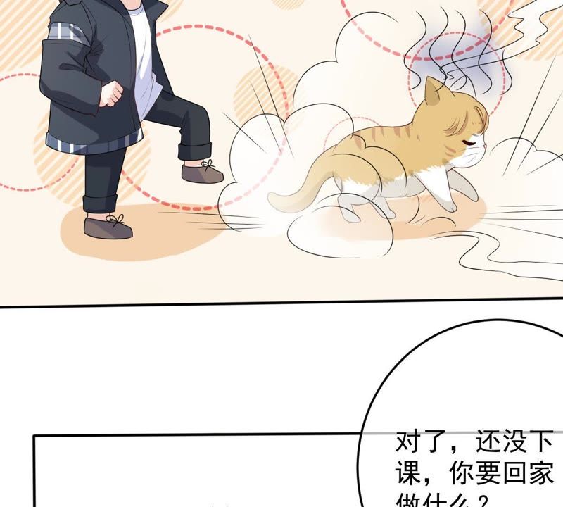 世无良猫韩漫全集-第73话 真正喜欢的人无删减无遮挡章节图片 