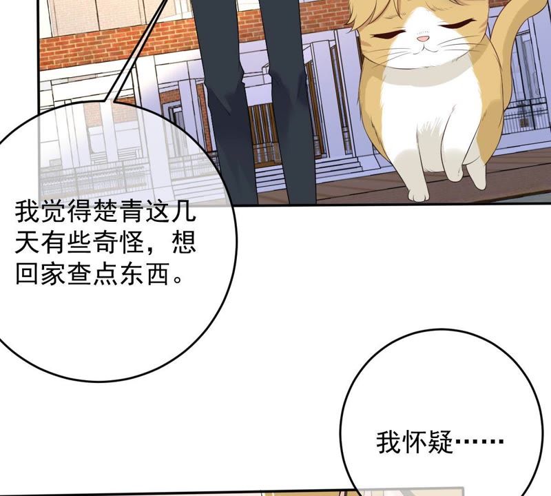 世无良猫韩漫全集-第73话 真正喜欢的人无删减无遮挡章节图片 