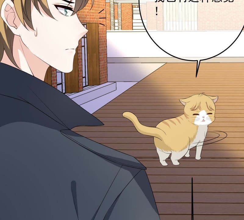 世无良猫韩漫全集-第73话 真正喜欢的人无删减无遮挡章节图片 