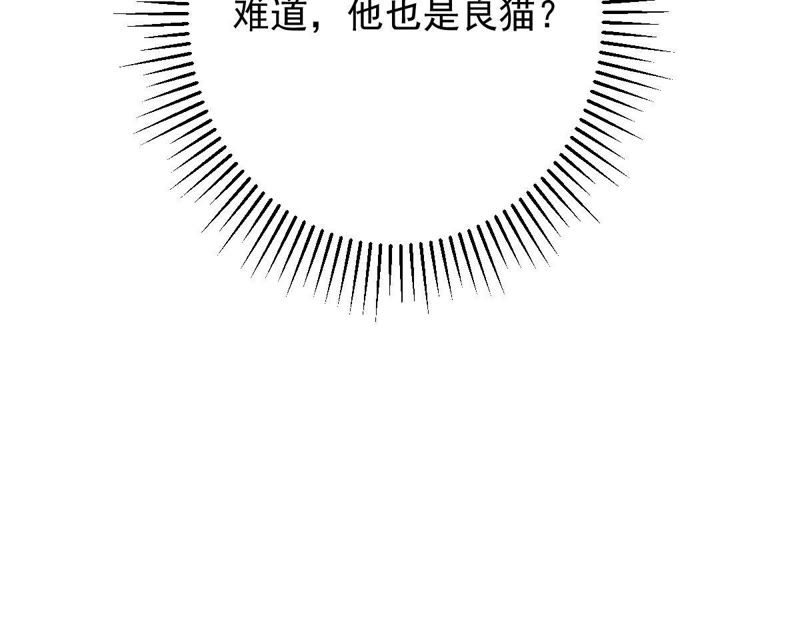 世无良猫韩漫全集-第73话 真正喜欢的人无删减无遮挡章节图片 