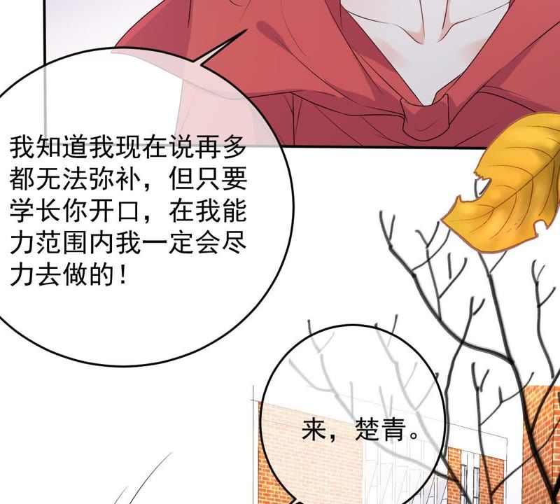 世无良猫韩漫全集-第73话 真正喜欢的人无删减无遮挡章节图片 