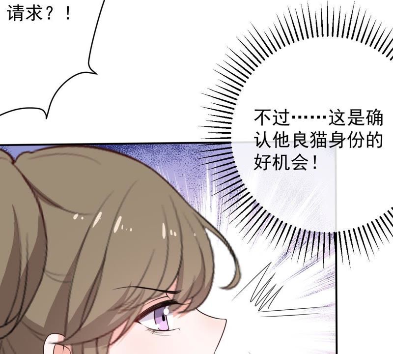 世无良猫韩漫全集-第74话 他也是良猫？无删减无遮挡章节图片 