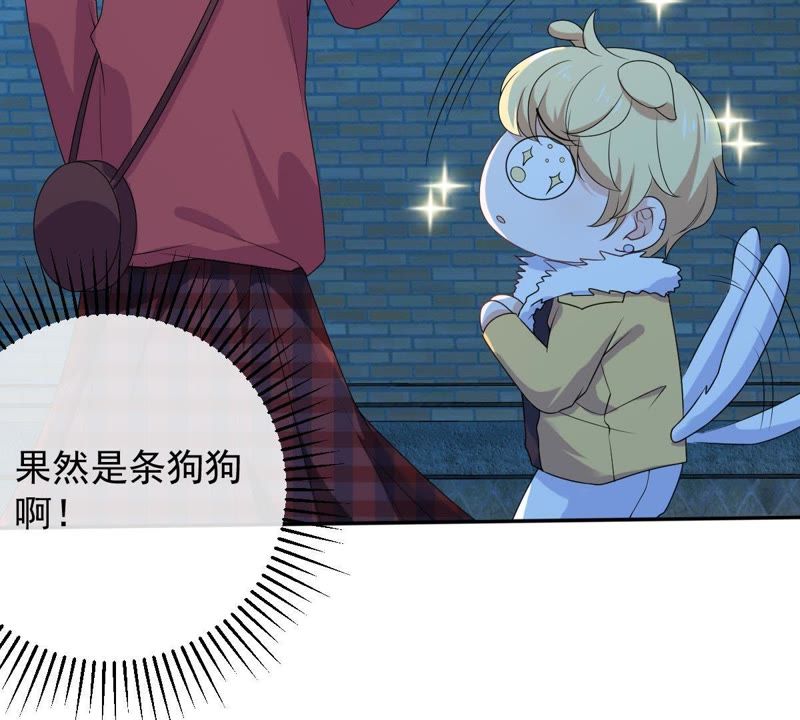 世无良猫韩漫全集-第74话 他也是良猫？无删减无遮挡章节图片 