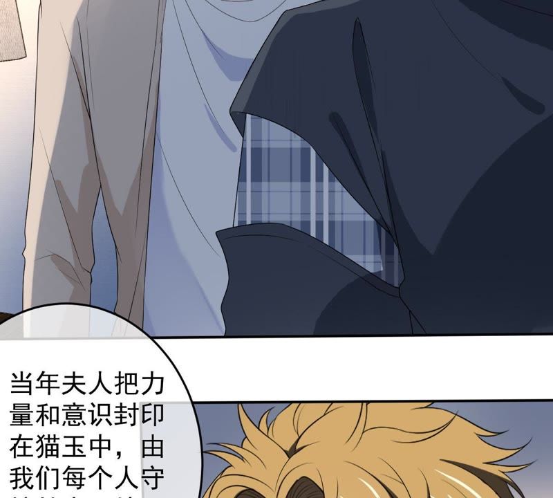 世无良猫韩漫全集-第75话 离家出走无删减无遮挡章节图片 