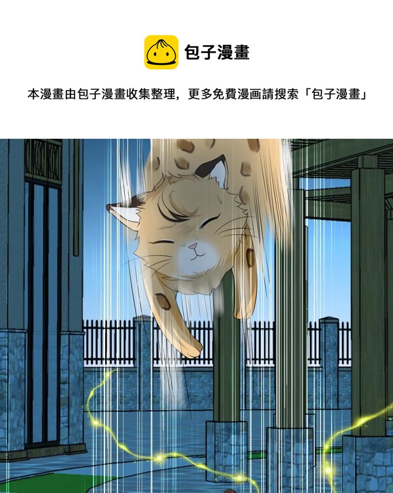 世无良猫韩漫全集-第77话 深夜密会无删减无遮挡章节图片 
