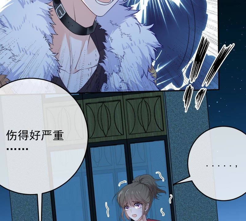 世无良猫韩漫全集-第77话 深夜密会无删减无遮挡章节图片 