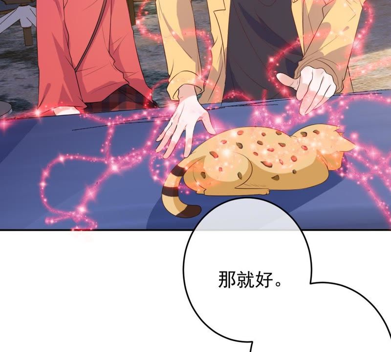 世无良猫韩漫全集-第77话 深夜密会无删减无遮挡章节图片 