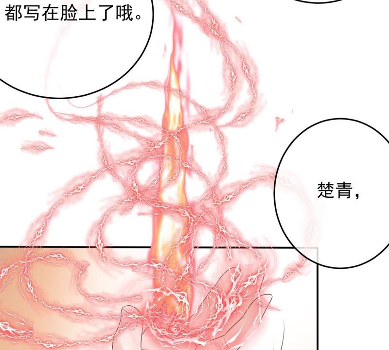 世无良猫韩漫全集-第77话 深夜密会无删减无遮挡章节图片 