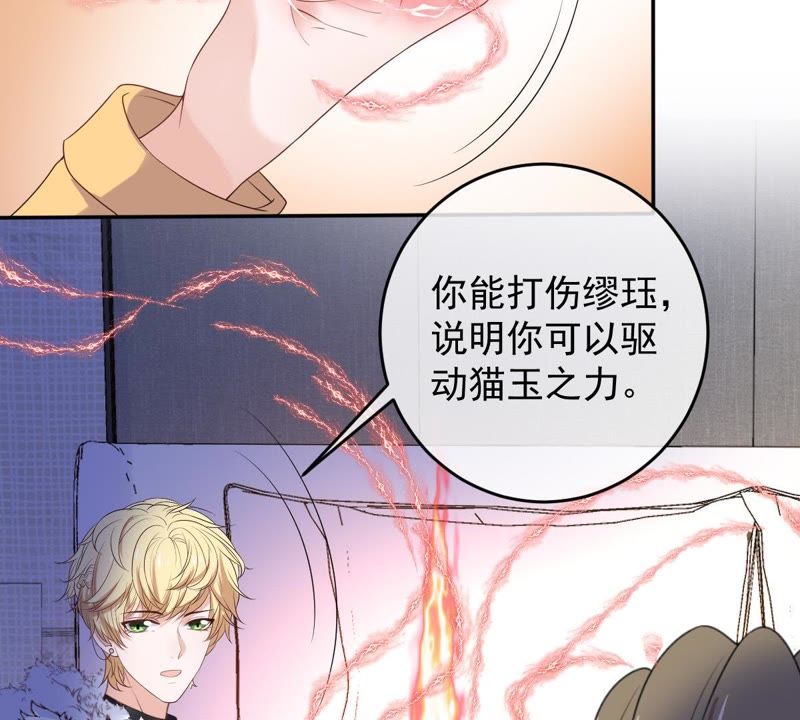 世无良猫韩漫全集-第77话 深夜密会无删减无遮挡章节图片 
