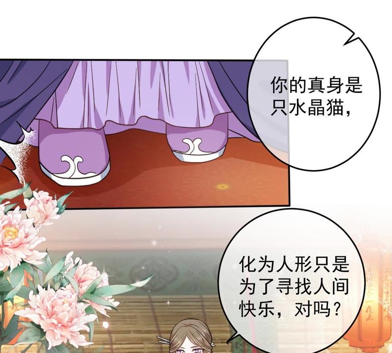 世无良猫韩漫全集-第80话 云城遇险无删减无遮挡章节图片 