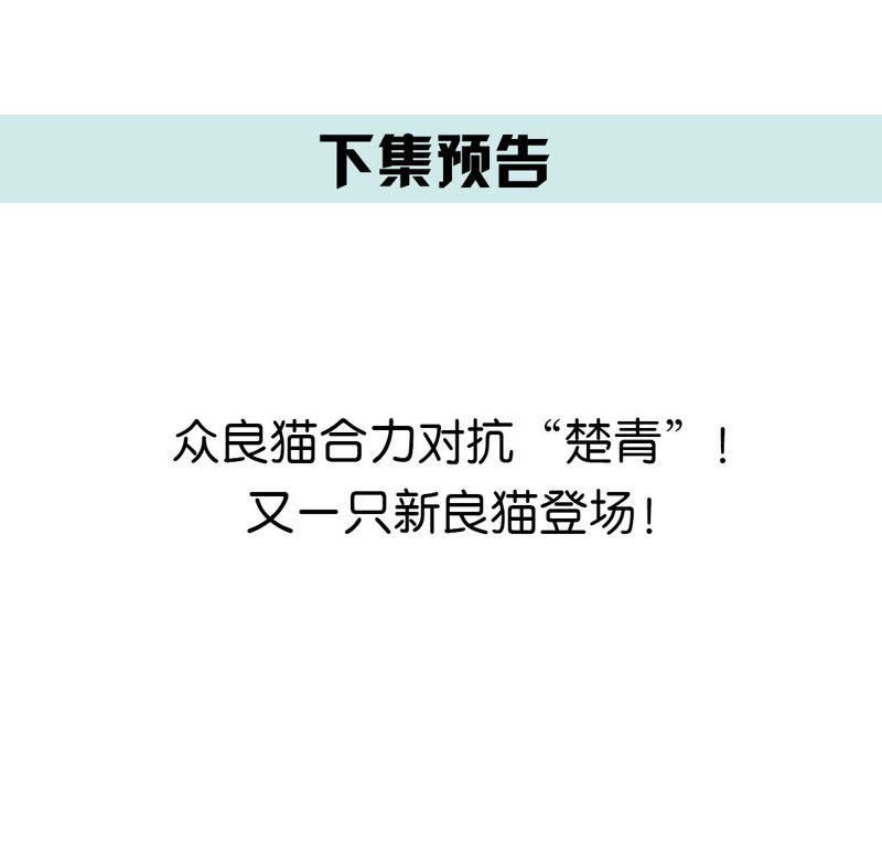 世无良猫韩漫全集-第81话 楚青的未来无删减无遮挡章节图片 