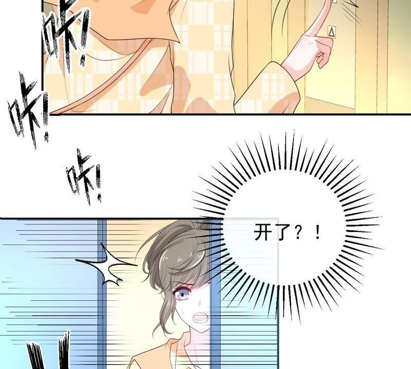 世无良猫韩漫全集-第87话 新猫卫登场无删减无遮挡章节图片 