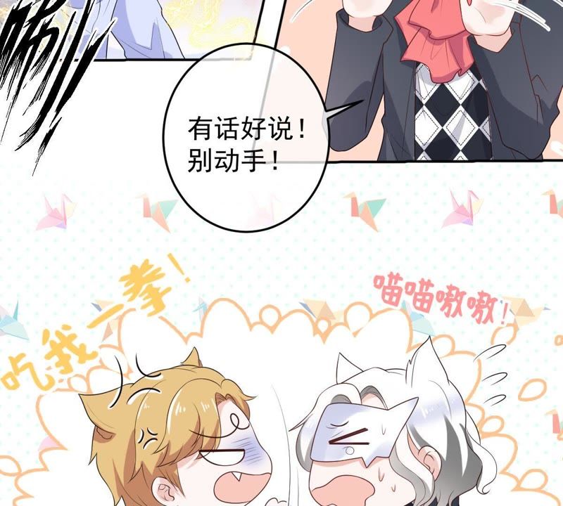 世无良猫韩漫全集-第90话 不想你受伤无删减无遮挡章节图片 