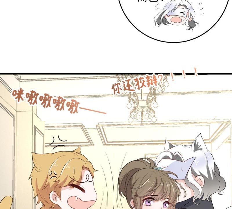 世无良猫韩漫全集-第92话 陪在他身边无删减无遮挡章节图片 