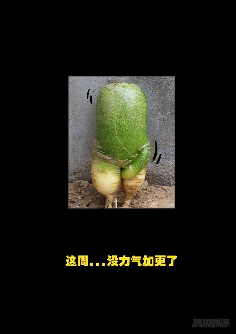 尸兄（我叫白小飞）韩漫全集-第174集无删减无遮挡章节图片 