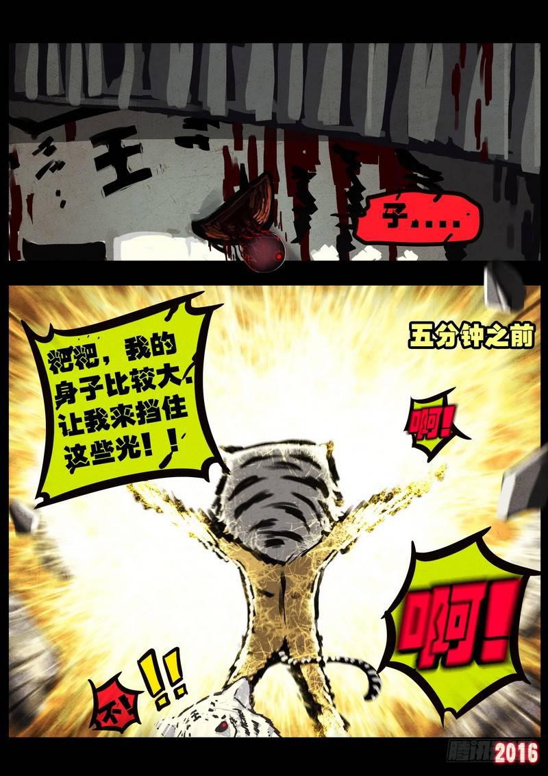 尸兄（我叫白小飞）韩漫全集-第046集下无删减无遮挡章节图片 
