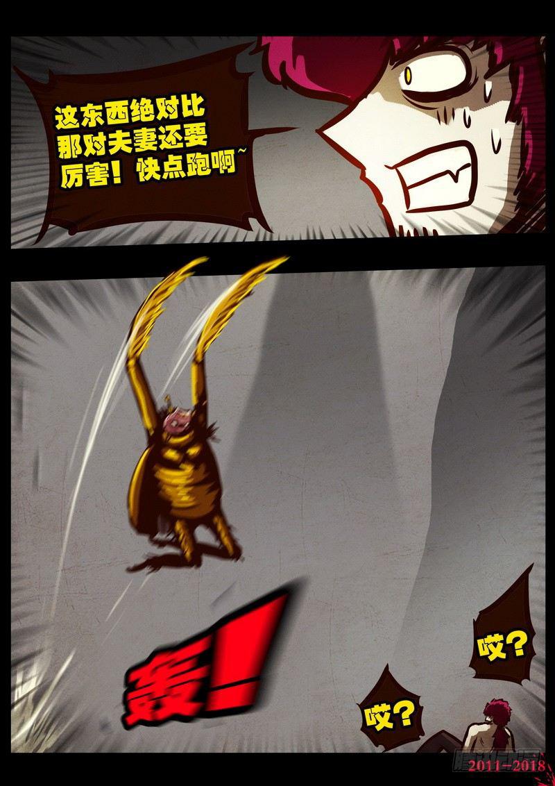 尸兄（我叫白小飞）韩漫全集-第0171集无删减无遮挡章节图片 