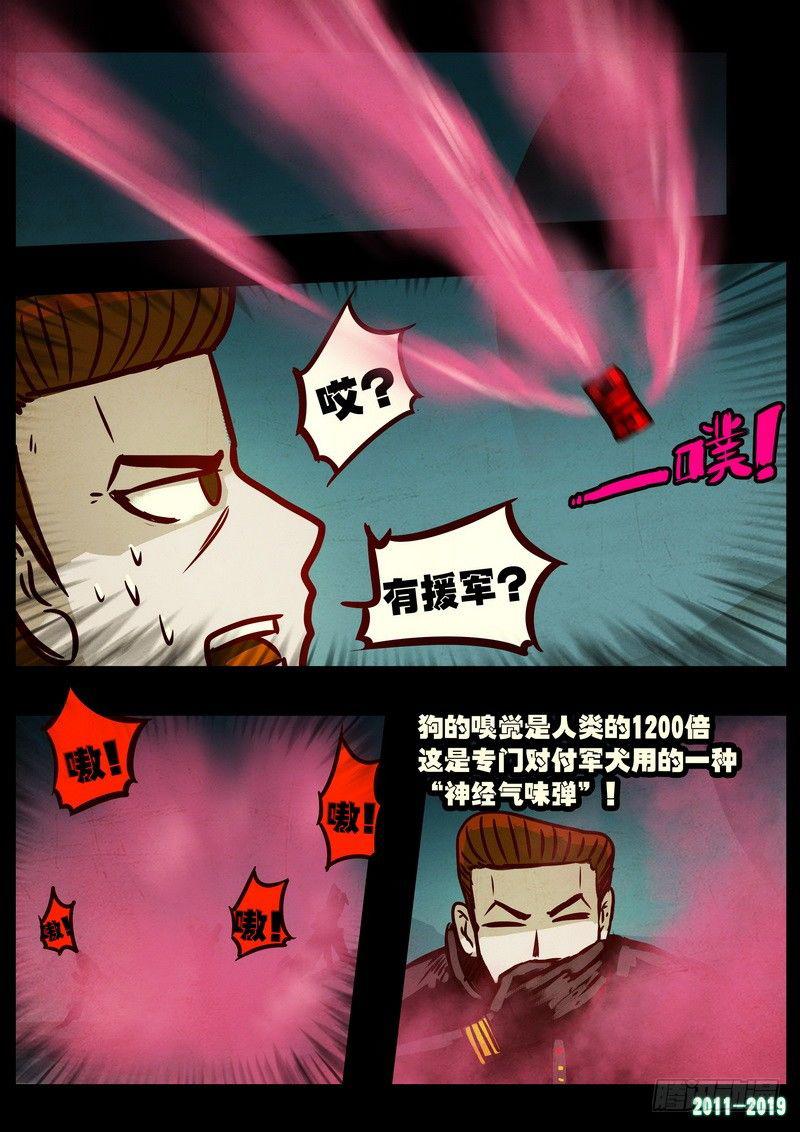 尸兄（我叫白小飞）韩漫全集-第0203集无删减无遮挡章节图片 