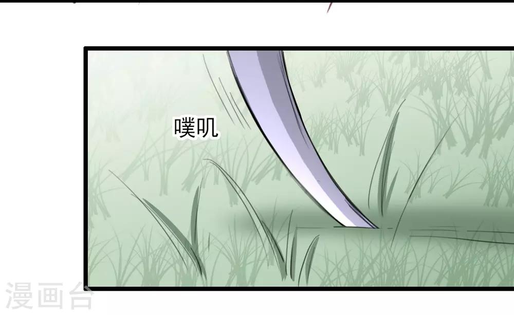 兽王的专宠韩漫全集-第32话 为什么选它?无删减无遮挡章节图片 