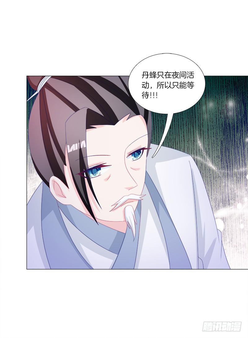 双面师尊别乱来韩漫全集-34、丹蜂觅踪无删减无遮挡章节图片 