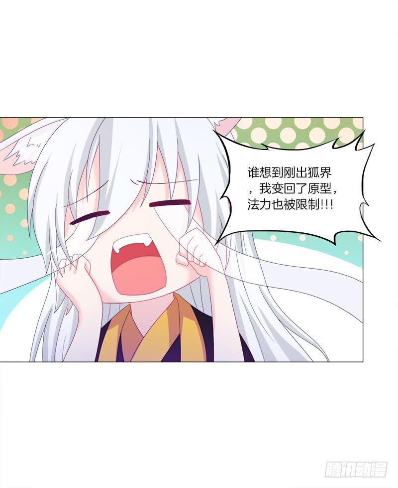 双面师尊别乱来韩漫全集-36、阴凤血脉无删减无遮挡章节图片 