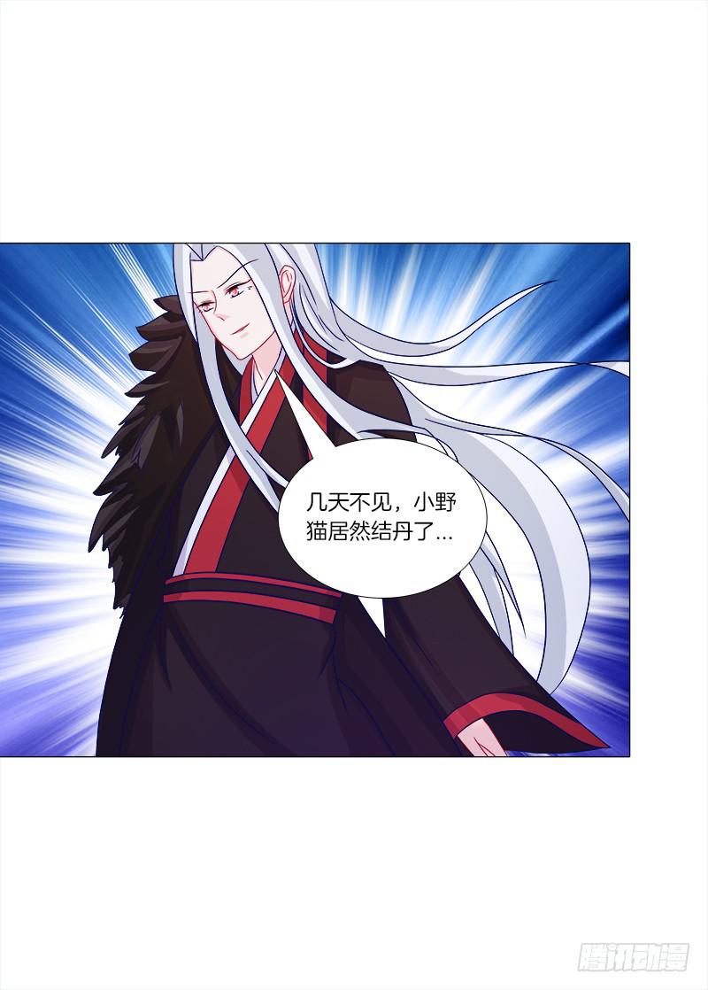 双面师尊别乱来韩漫全集-45、金丹无删减无遮挡章节图片 