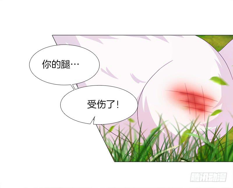 双面师尊别乱来韩漫全集-6、小狐狸无删减无遮挡章节图片 
