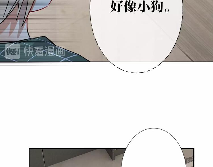 双面主播韩漫全集-第19话 前辈别生气无删减无遮挡章节图片 