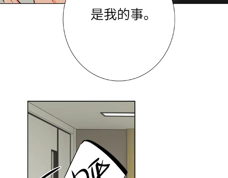 双面主播韩漫全集-第36话  橄榄枝？无删减无遮挡章节图片 