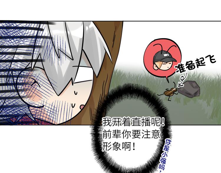 双面主播韩漫全集-第65话  兄弟之争无删减无遮挡章节图片 