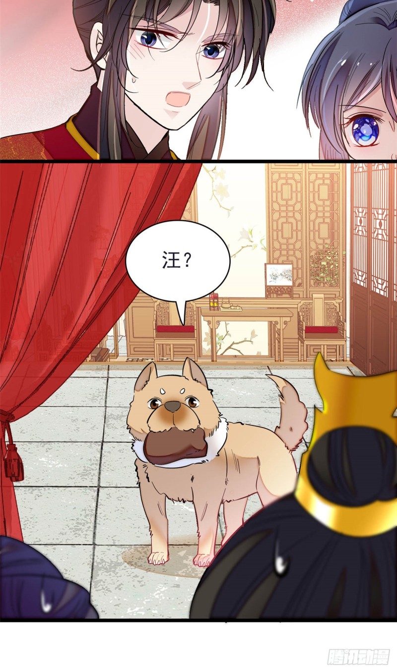似锦韩漫全集-第135话 大婚无删减无遮挡章节图片 