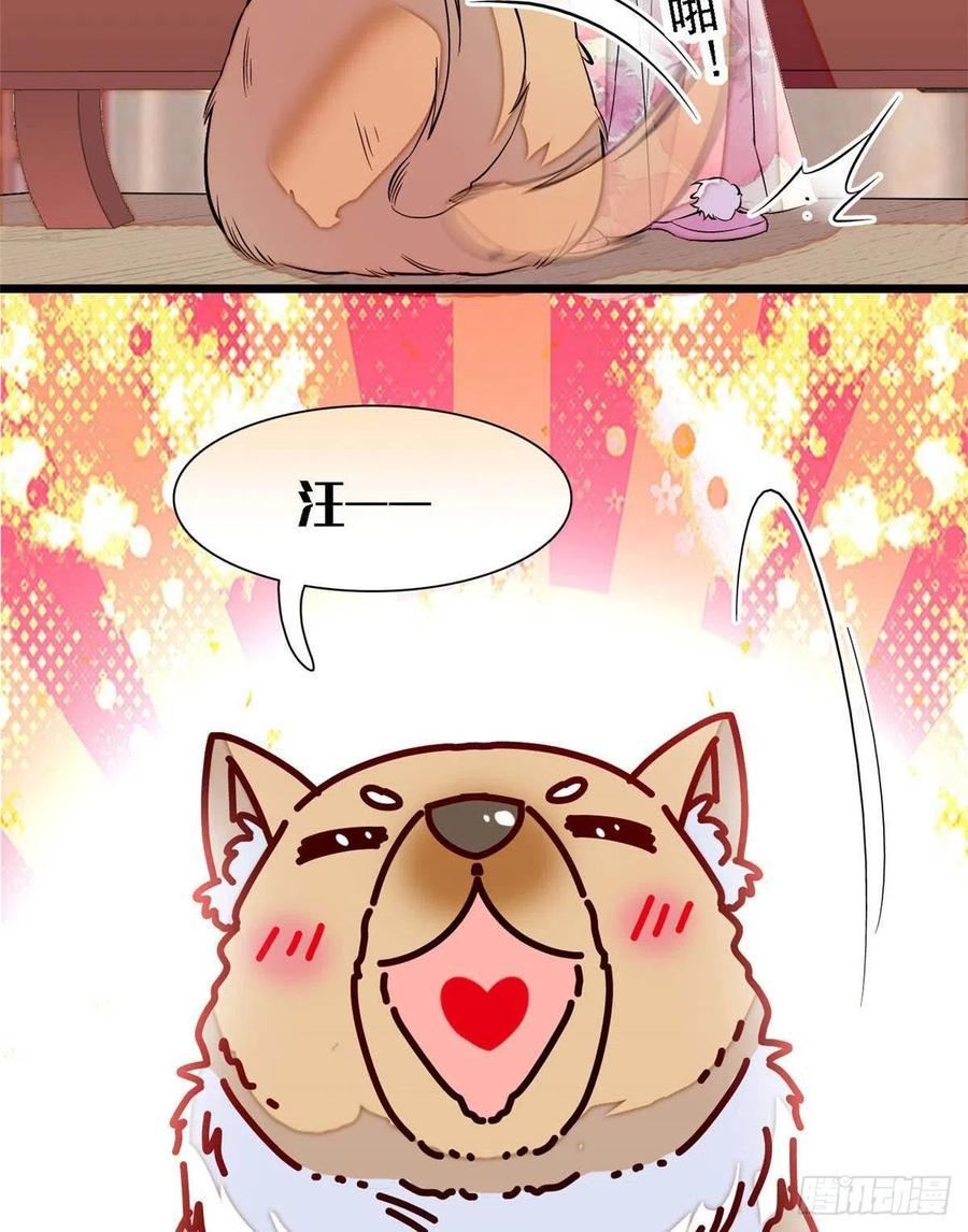 似锦韩漫全集-第165话 坐享齐人之福？无删减无遮挡章节图片 