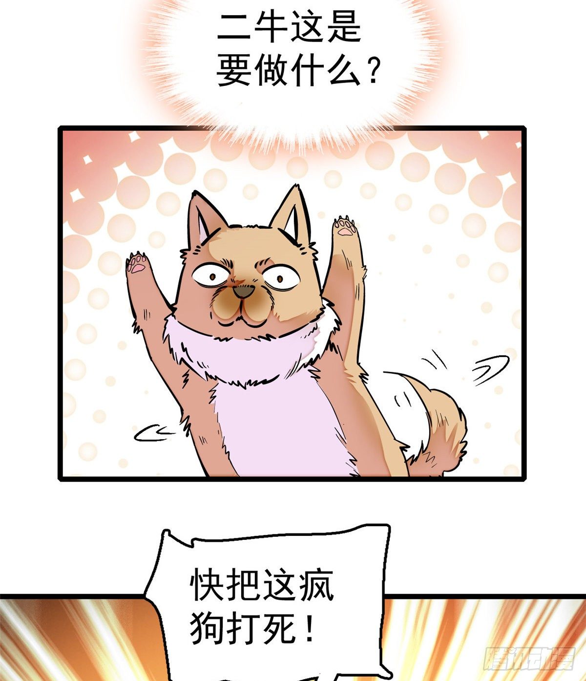 似锦韩漫全集-第49话 大喜之日无删减无遮挡章节图片 