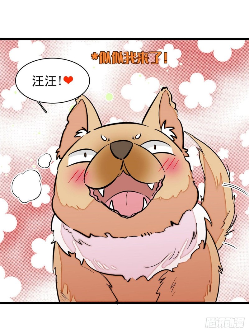 似锦韩漫全集-第73话 尸体呢？无删减无遮挡章节图片 