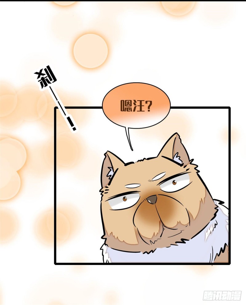 似锦韩漫全集-第74话 一只绣花鞋无删减无遮挡章节图片 