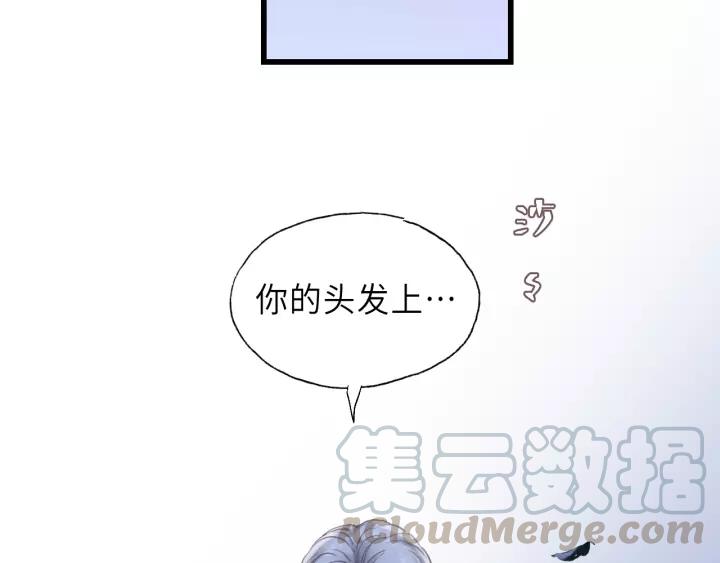 饲狼法则韩漫全集-第41话 他是谁？无删减无遮挡章节图片 