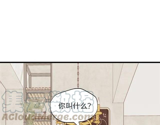 饲狼法则韩漫全集-第50话 关你什么事？无删减无遮挡章节图片 