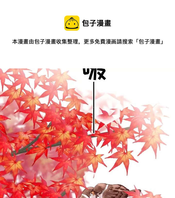 饲狼法则韩漫全集-第56话 我是不会离开的！无删减无遮挡章节图片 